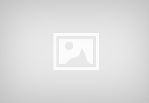 Vivamus quis hendrerit magna