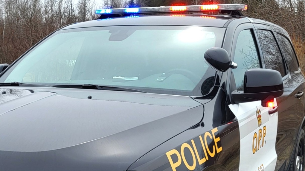 في أونتاريو  .. وفاة 400 شخص في حوادث السيارات هذا العام