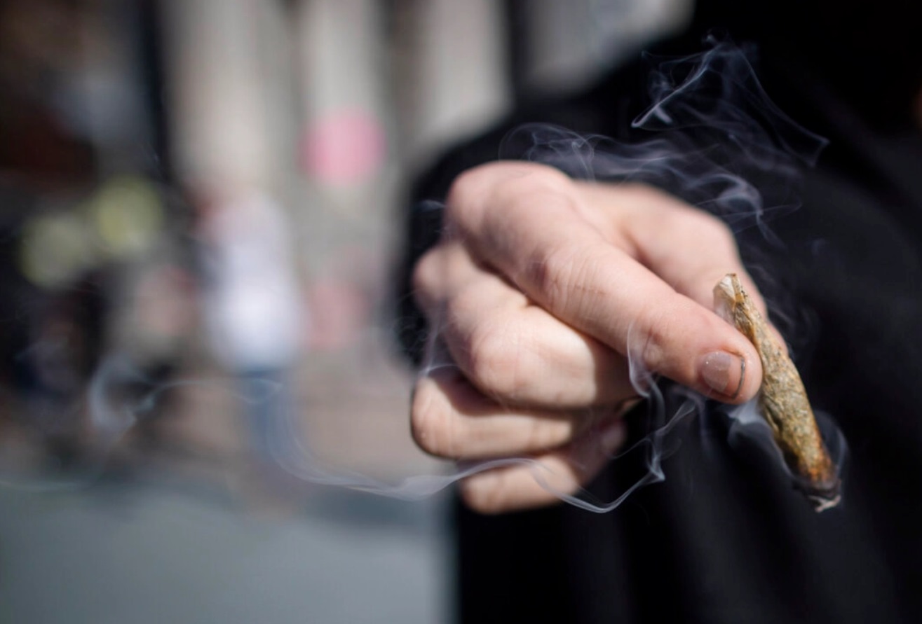 الحشيش أم الكحول على الطرق الكندية .. دراسة تكشف حقائق حول المتسبب الأول في الحوادث