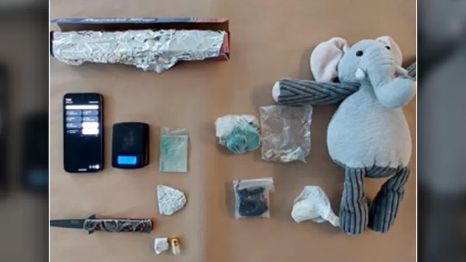 ضبط كميات من الفنتانيل والميثامفيتامين داخل دمية محشوة في كينغستون